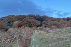 Autumn view towards Chequers (Richard Bushnell)