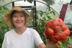 World's largest tomato (Phil Crookes)